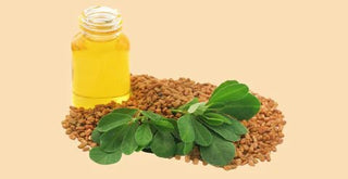 Fenugreek Oil Benefits for Hair - OMAKAZI BEAUTY