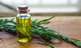 The Benefits of Rosemary for Hair - OMAKAZI BEAUTY
